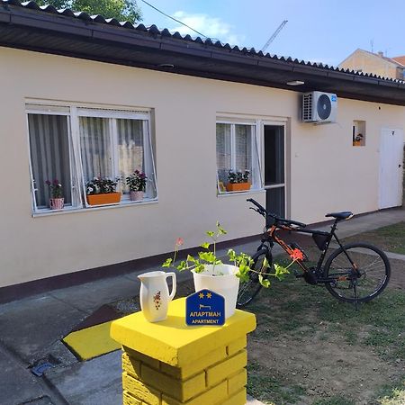 Cyclo Apartment Pinki Bačka Palanka 外观 照片
